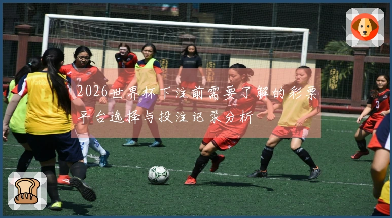 2026世界杯下注前需要了解的彩票平台选择与投注记录分析