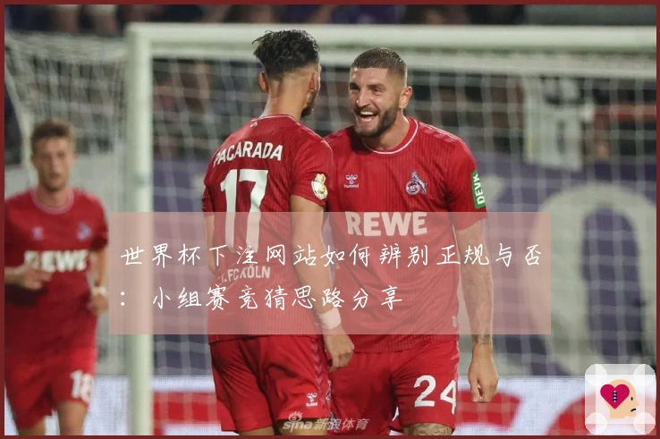 世界杯下注网站如何辨别正规与否:小组赛竞猜思路分享