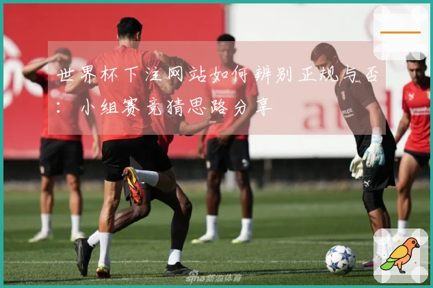 世界杯下注网站如何辨别正规与否：小组赛竞猜思路分享