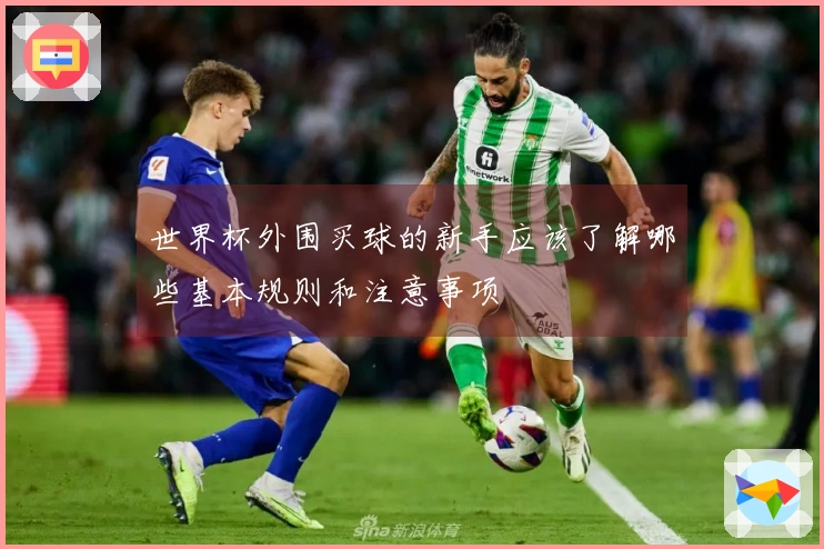 世界杯外围买球的新手应该了解哪些基本规则和注意事项