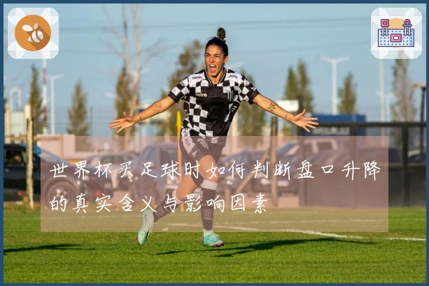 世界杯买足球时如何判断盘口升降的真实含义与影响因素
